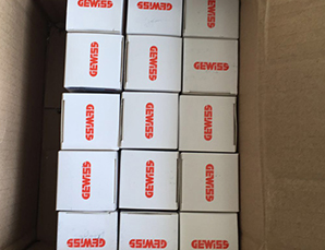 �����GEWISS