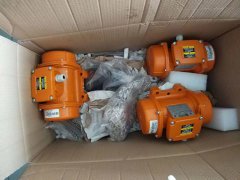  MVSI 3/100-S02震動(dòng)電機(jī)